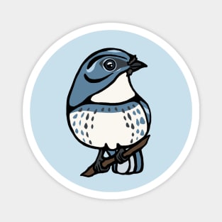 Cerulean Warbler Graphic Magnet